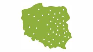 stokrotka-polska-nowoczesna-franczyza-pomysl-n.png